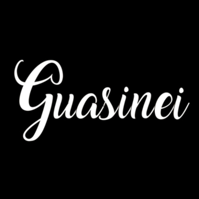 PROYECTO GUASINEI